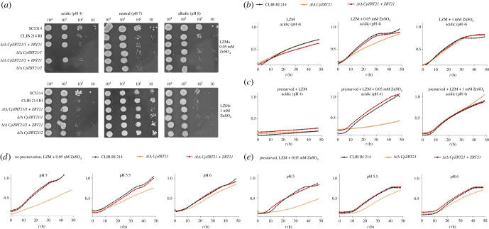 Figure 3. 