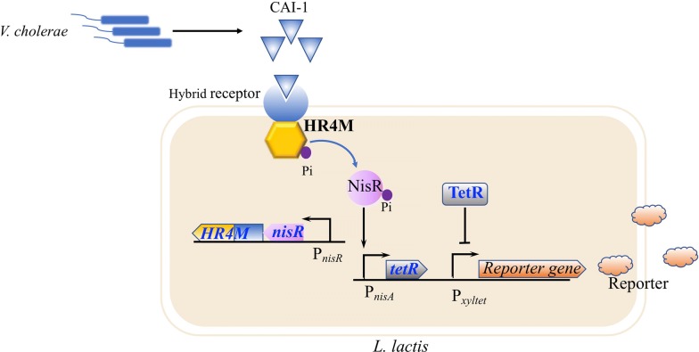 Fig. 3