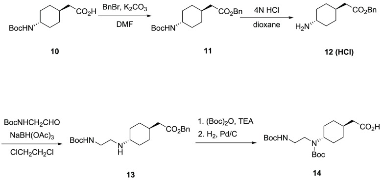 Scheme 2