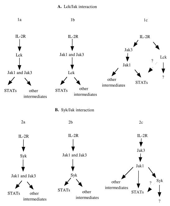 FIG. 7