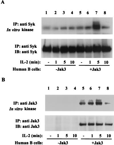 FIG. 5