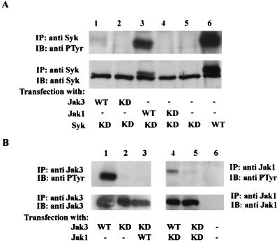 FIG. 6