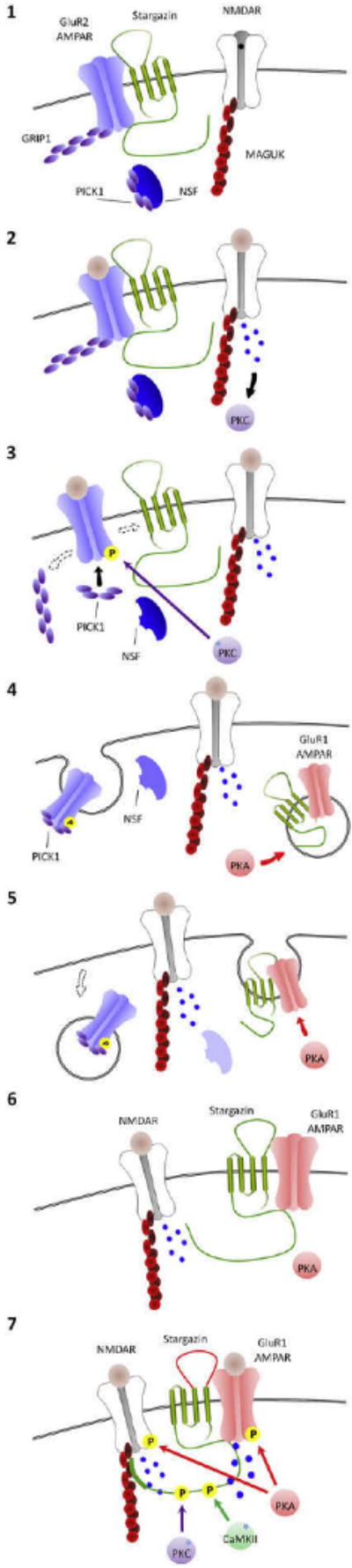 Figure 14