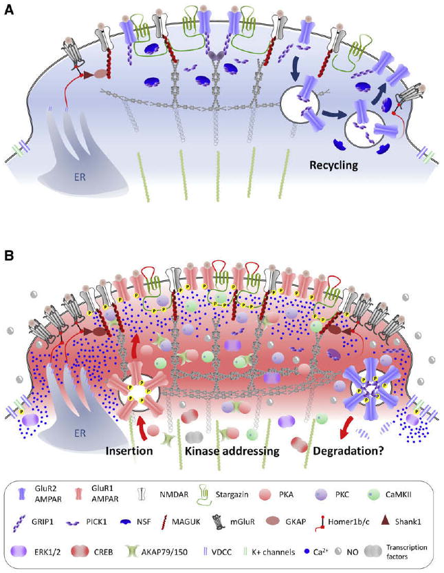 Figure 13