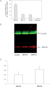 Figure 2.
