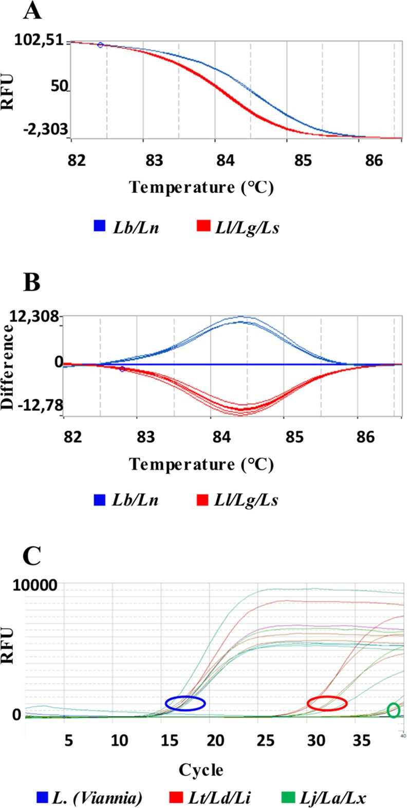 Fig 5