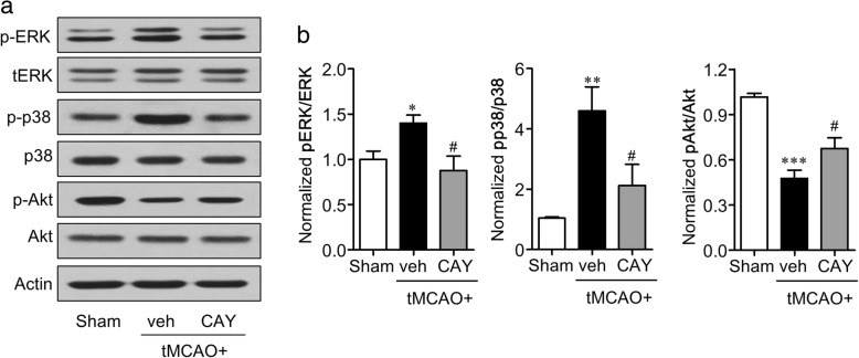 Fig. 9