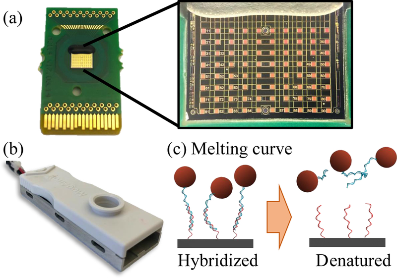 Figure 1: