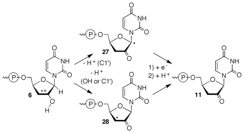 Scheme 4