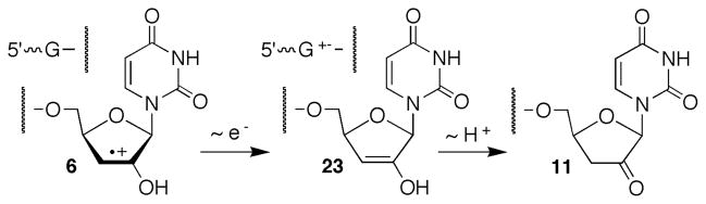 Scheme 3