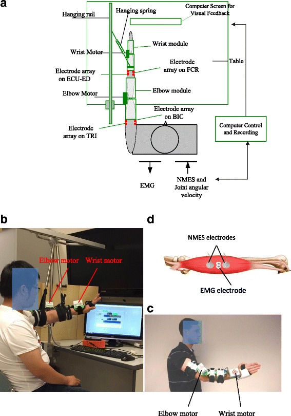 Fig. 1