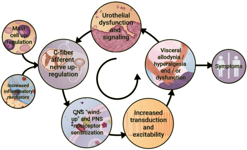 Figure 1: