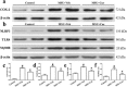 Fig. 13