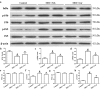 Fig. 12