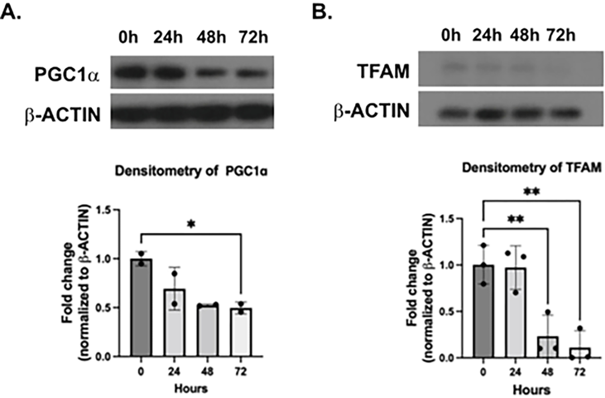 Figure 3: