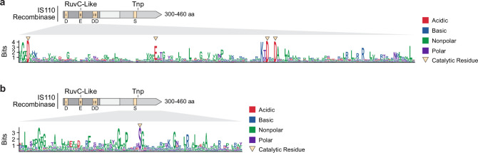 Extended Data Fig. 1