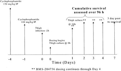 FIG. 1.