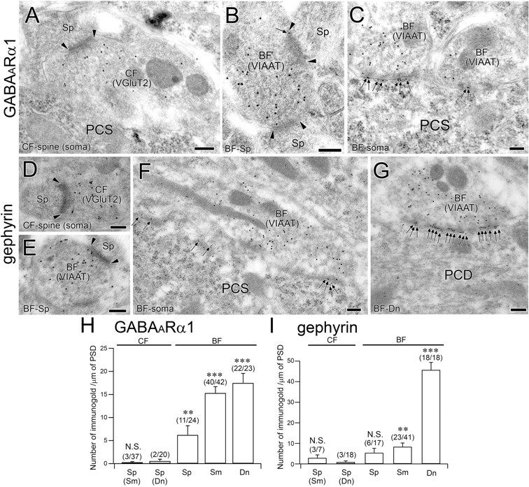 Figure 11.