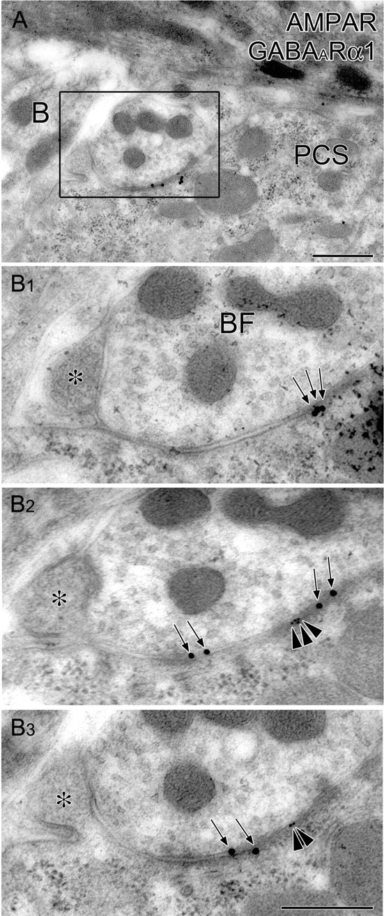 Figure 12.