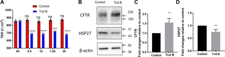 Fig. 8.