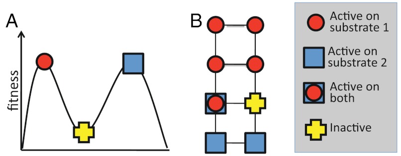 Fig. 3.