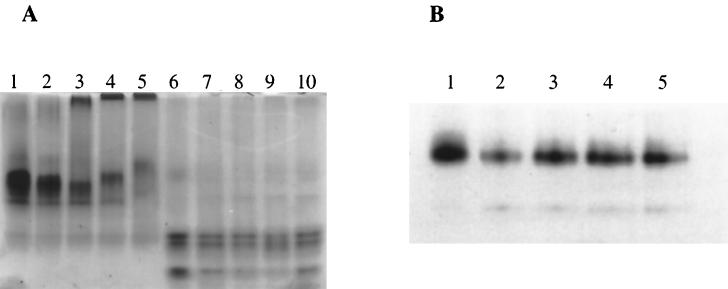 FIG. 7