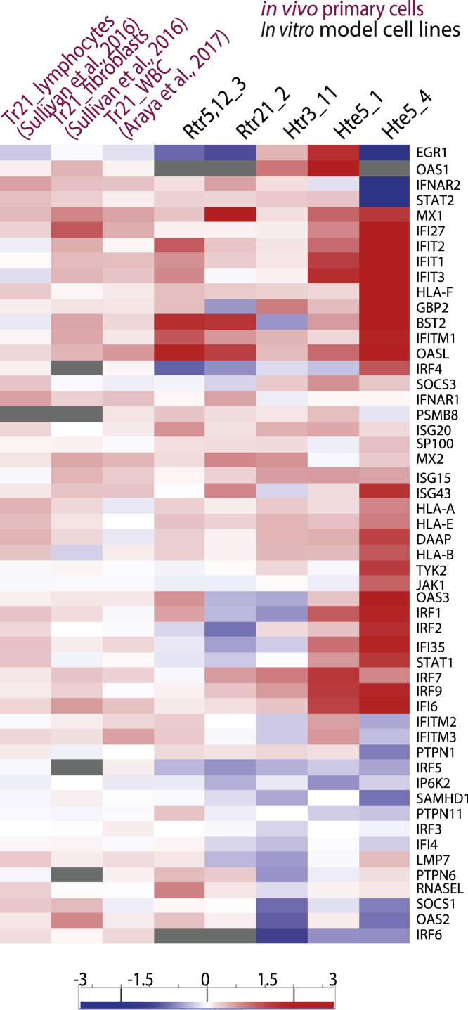 Figure 2