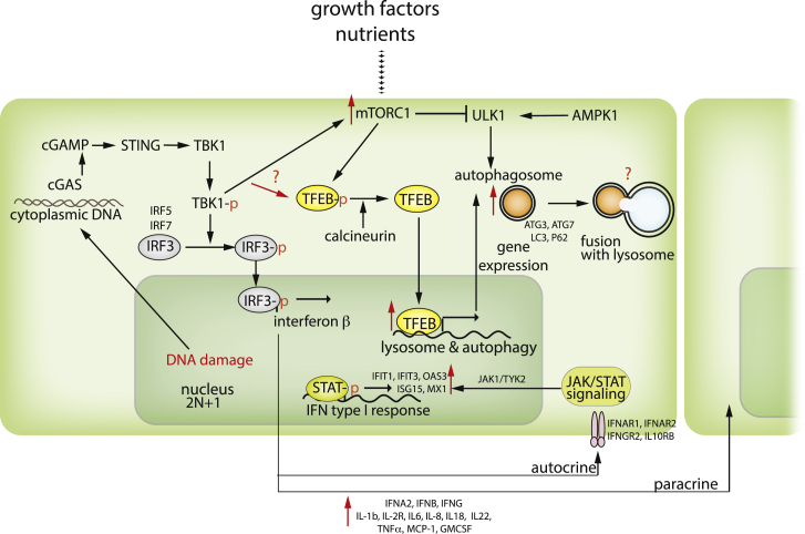 Figure 3