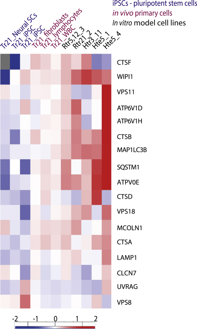 Figure 4