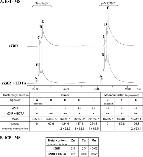 Fig. 5.