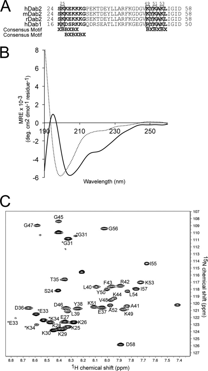 FIGURE 1.