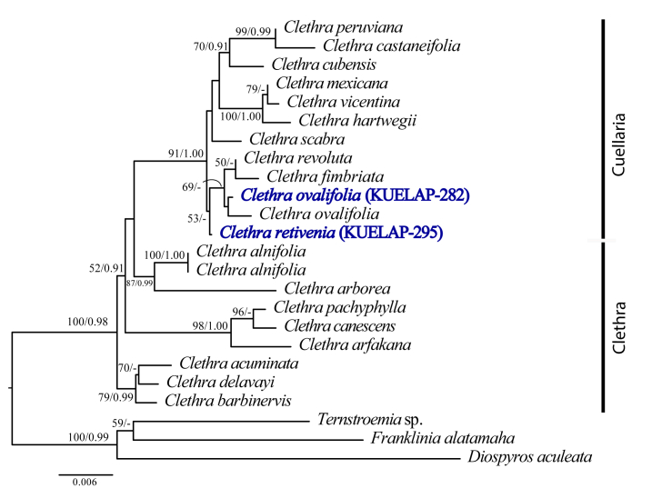 Figure 5