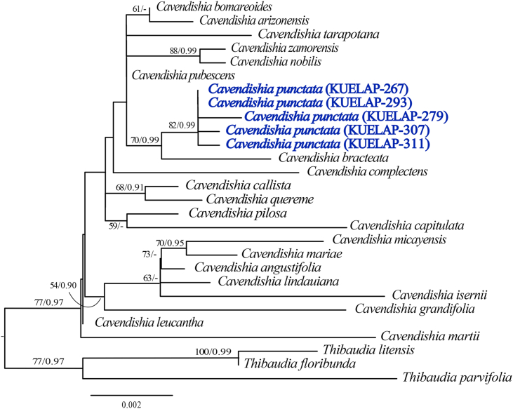 Figure 4