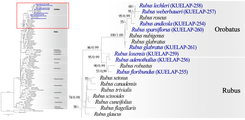 Figure 10