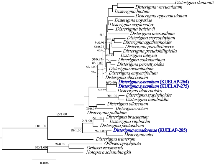 Figure 6