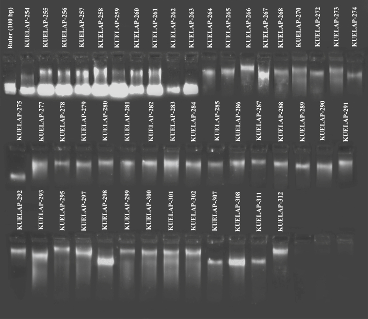 Figure 2