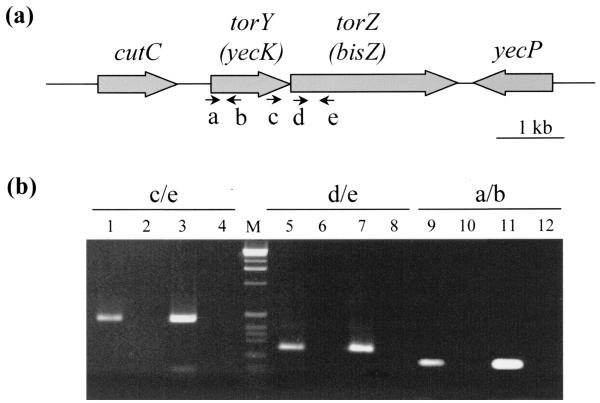 FIG. 1