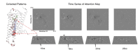 Fig. 10