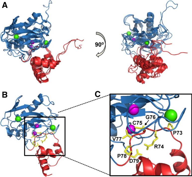 Fig. 3