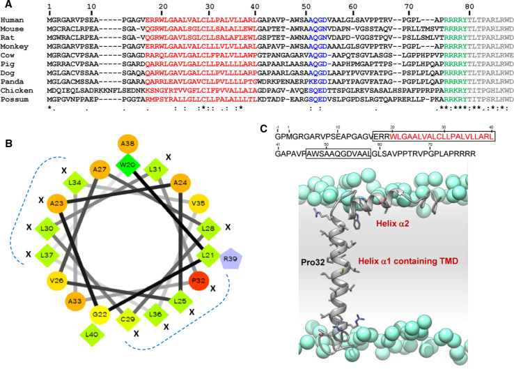 Fig. 4