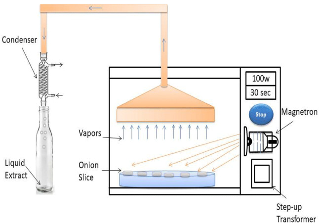 Fig. 1