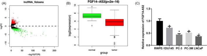 FIGURE 1