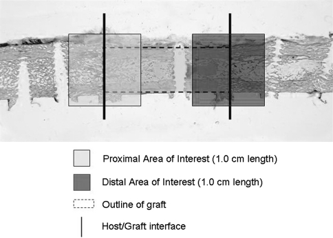 Fig. 5