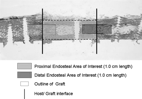 Fig. 6