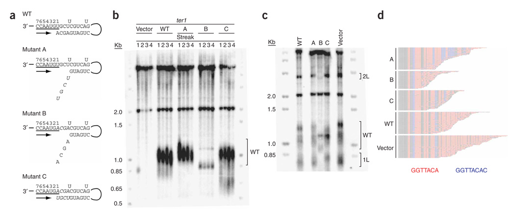 Figure 5