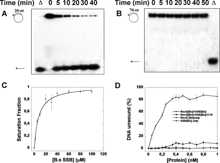 FIG 6