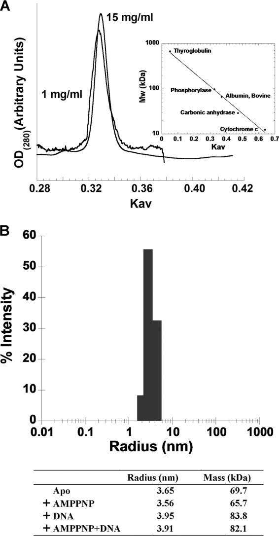 FIG 2