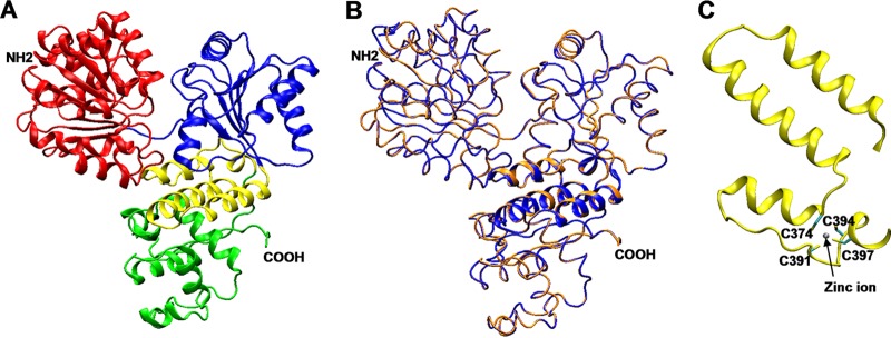 FIG 1