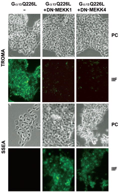 FIG. 6