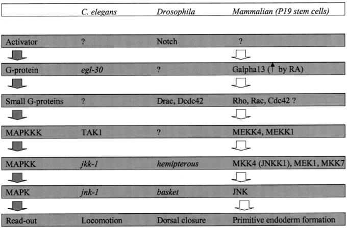 FIG. 9